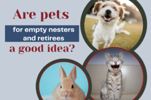 dog, cat and rabbit as pets banner